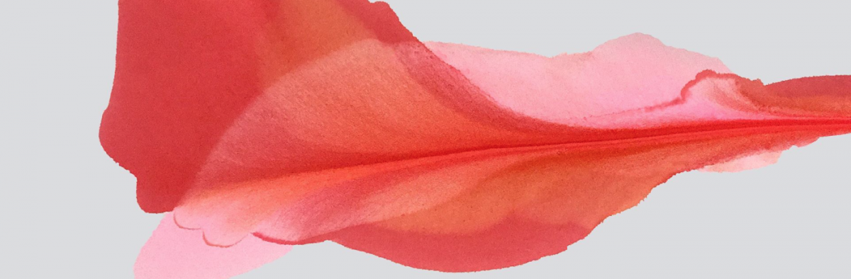 watercolor painting marta spednowska bloomlands